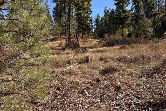 $125,000 | Lot 1 Moose Mountain, Priest River, ID 83856