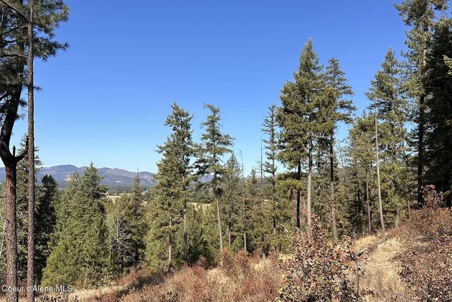 $125,000 | Lot 1 Moose Mountain, Priest River, ID 83856