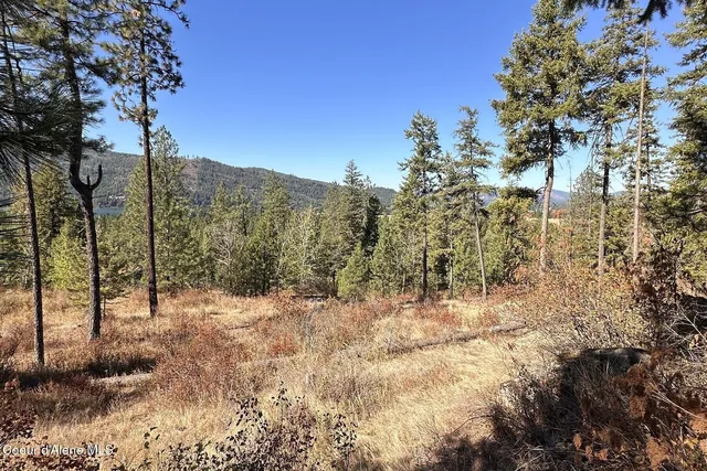 $125,000 | Lot 1 Moose Mountain, Priest River, ID 83856