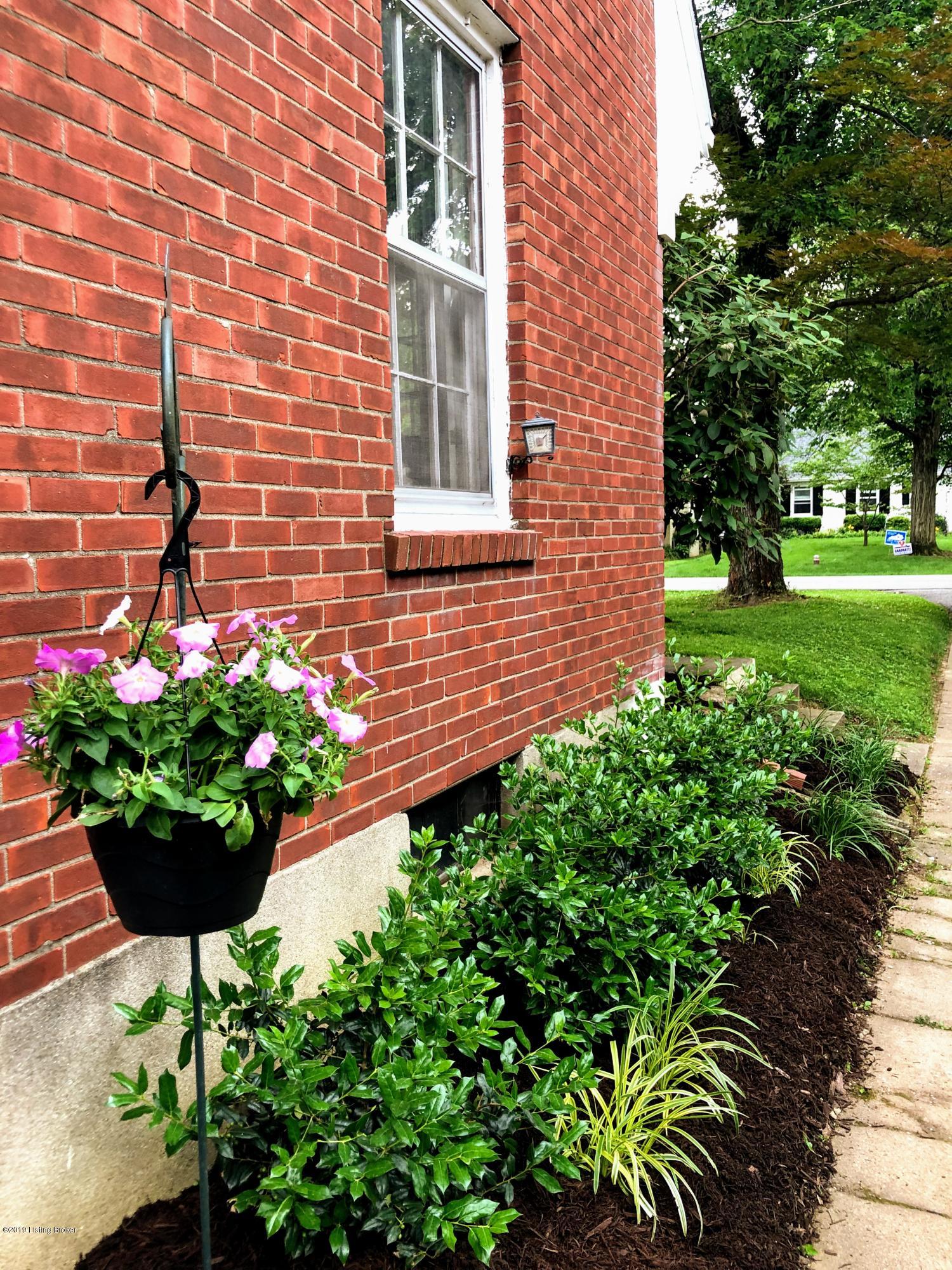 123 Don Allen Road Louisville, KY 40207 - Photo 18 of 34 Lanscaping is lovely as well -