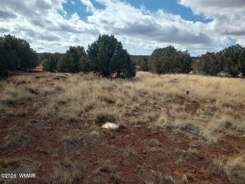 3958 Apache Road Snowflake, AZ 85937 - Photo 3 of 6 a view of a dry yard