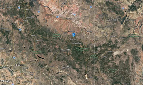 a close up of a tree in a yard