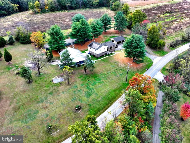 a view of a garden with plants
