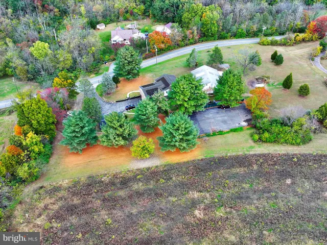 a view of a garden with an outdoor space