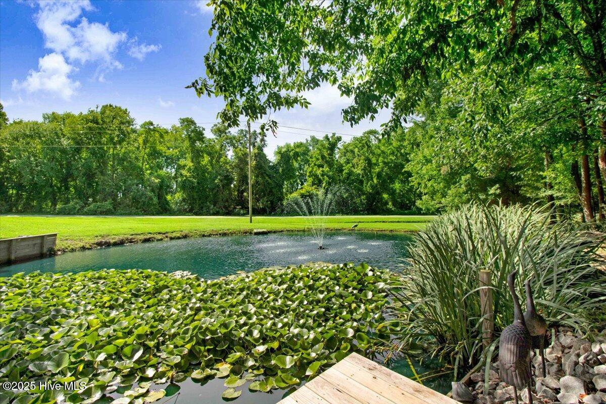 2326 Highway 117 Faison, NC 28341 - Photo 53 of 84 08-2326 US-117-8