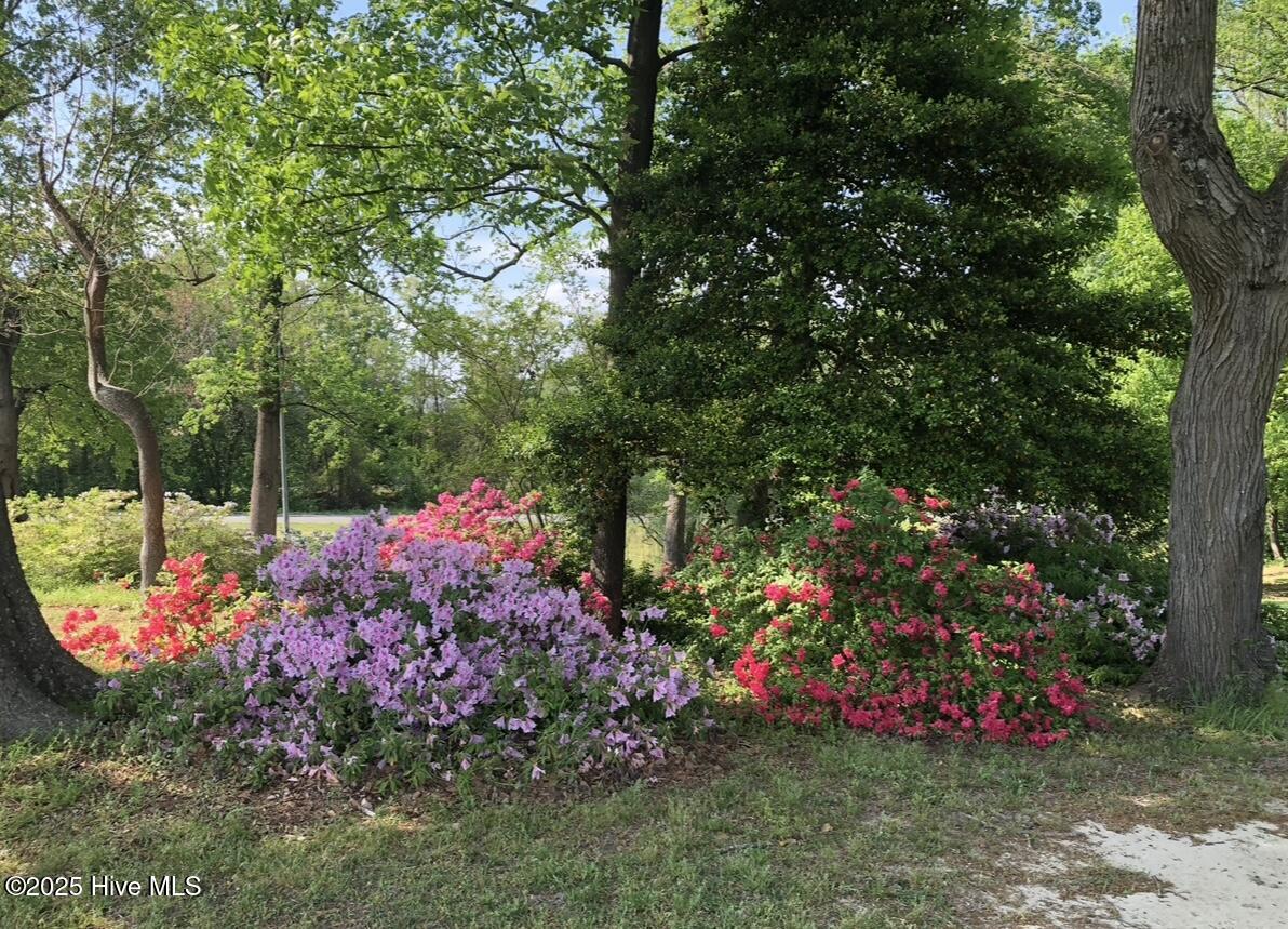 2326 Highway 117 Faison, NC 28341 - Photo 66 of 84 IMG_3048