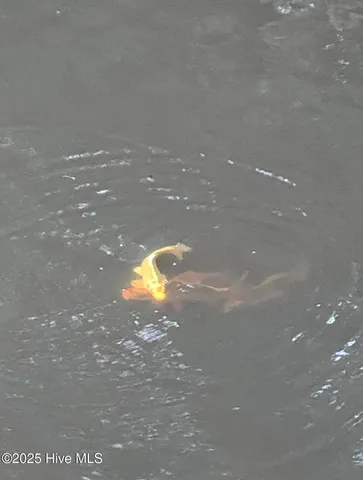 $550,000 | 2326 Highway 117, Faison, NC 28341