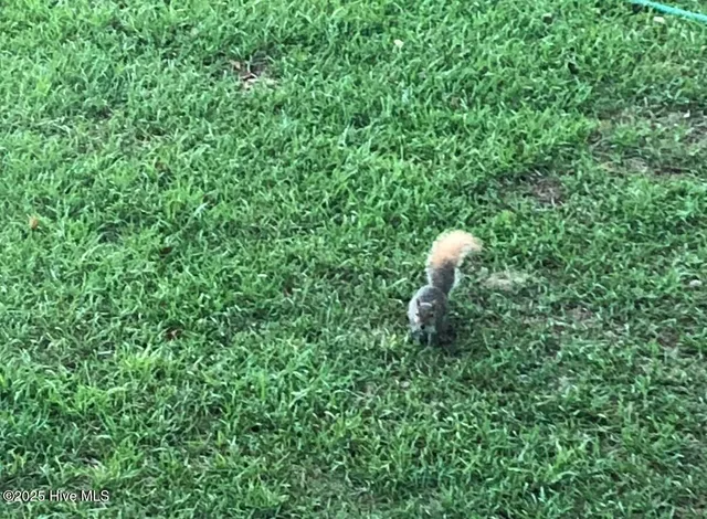 $550,000 | 2326 Highway 117, Faison, NC 28341