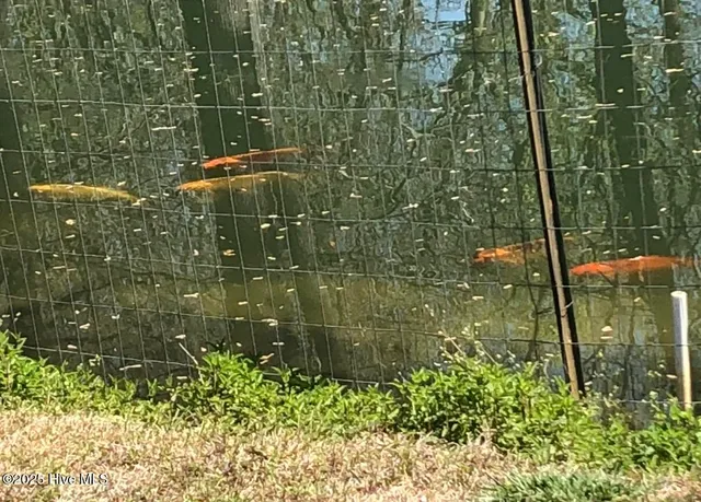 $550,000 | 2326 Highway 117, Faison, NC 28341