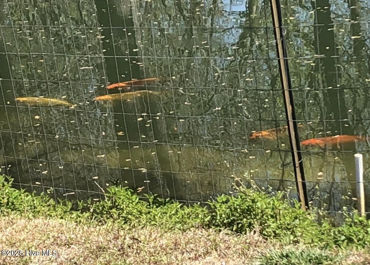 2326 Highway 117 Faison, NC 28341 - Photo 71 of 84 IMG_3053