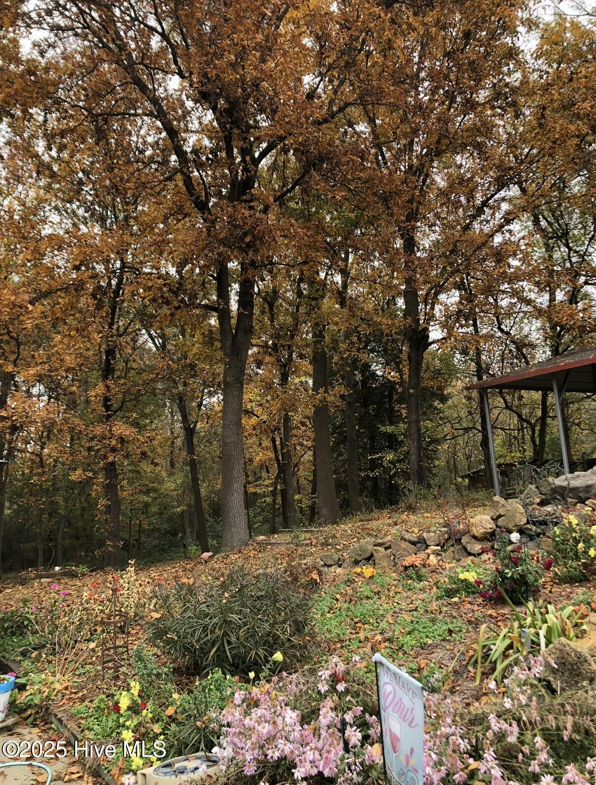 2326 Highway 117 Faison, NC 28341 - Photo 74 of 84 IMG_3056