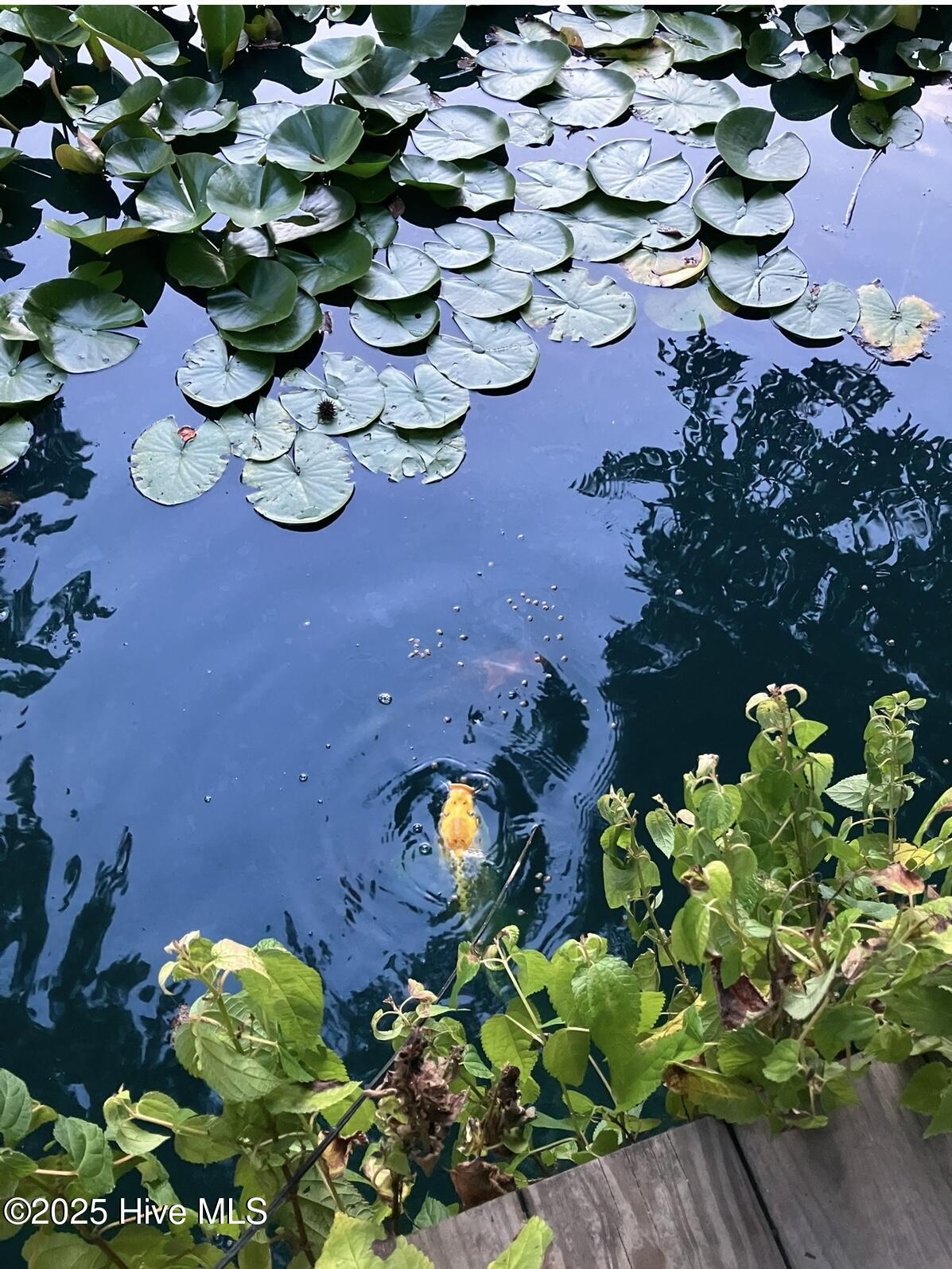 2326 Highway 117 Faison, NC 28341 - Photo 76 of 84 IMG_3058