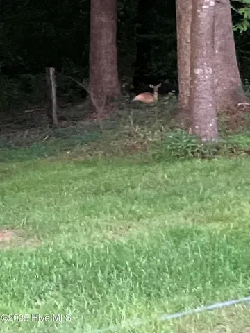 $550,000 | 2326 Highway 117, Faison, NC 28341