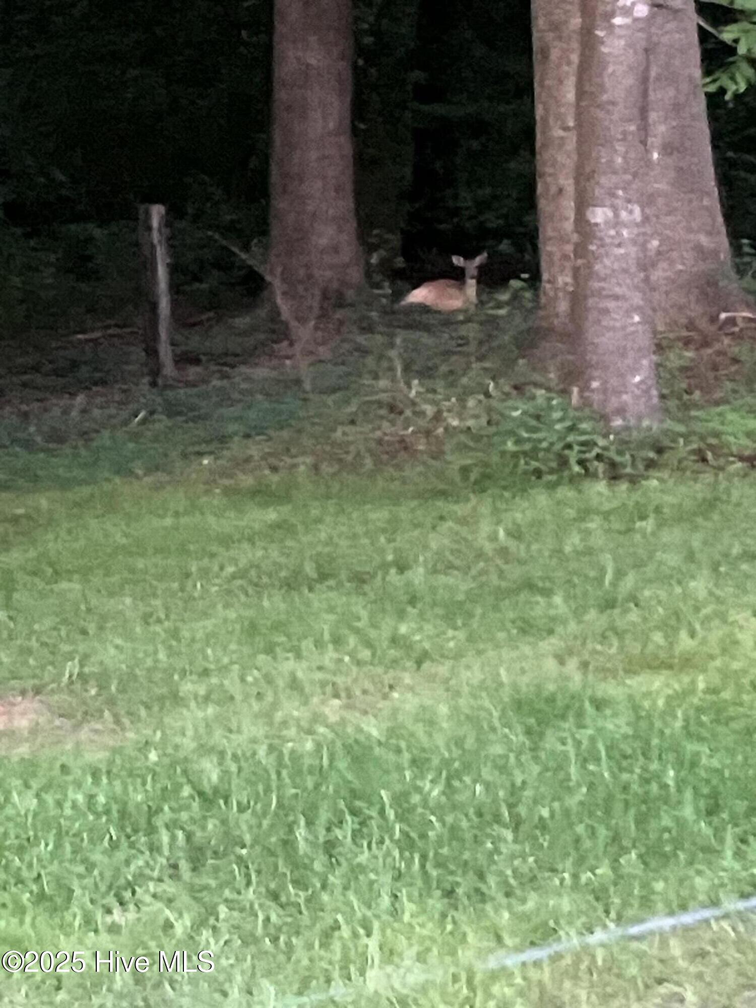 2326 Highway 117 Faison, NC 28341 - Photo 77 of 84 IMG_6534