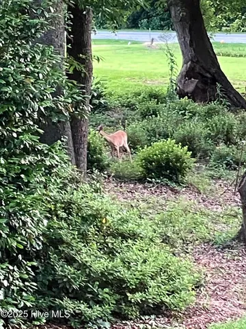 $550,000 | 2326 Highway 117, Faison, NC 28341