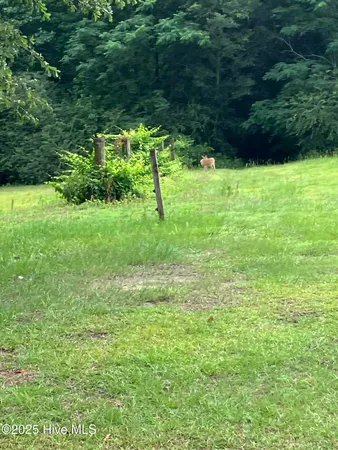 $550,000 | 2326 Highway 117, Faison, NC 28341