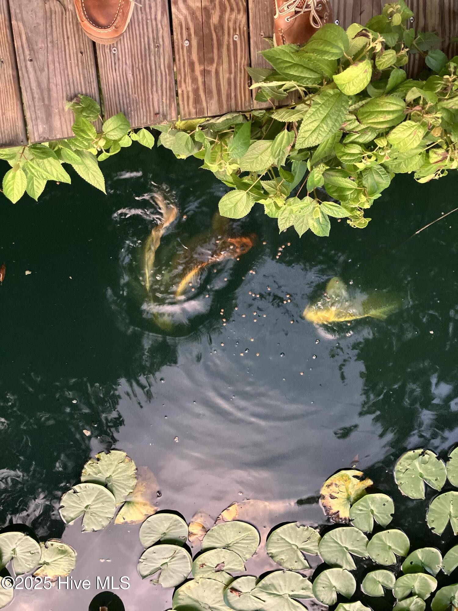 2326 Highway 117 Faison, NC 28341 - Photo 80 of 84 IMG_6597