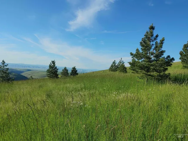 $249,700 | Lot B Forsman Lane, Lewiston, ID 83501