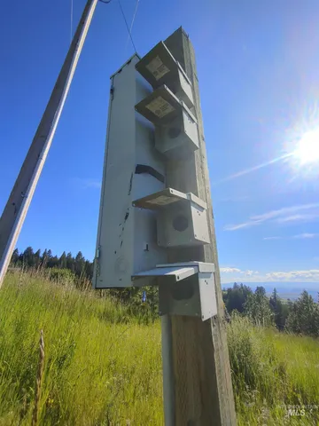 $249,700 | Lot B Forsman Lane, Lewiston, ID 83501