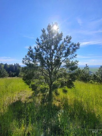 $249,700 | Lot B Forsman Lane, Lewiston, ID 83501