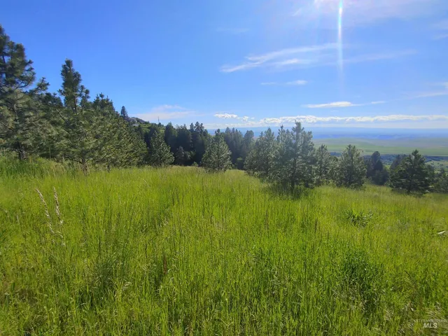 $249,700 | Lot B Forsman Lane, Lewiston, ID 83501