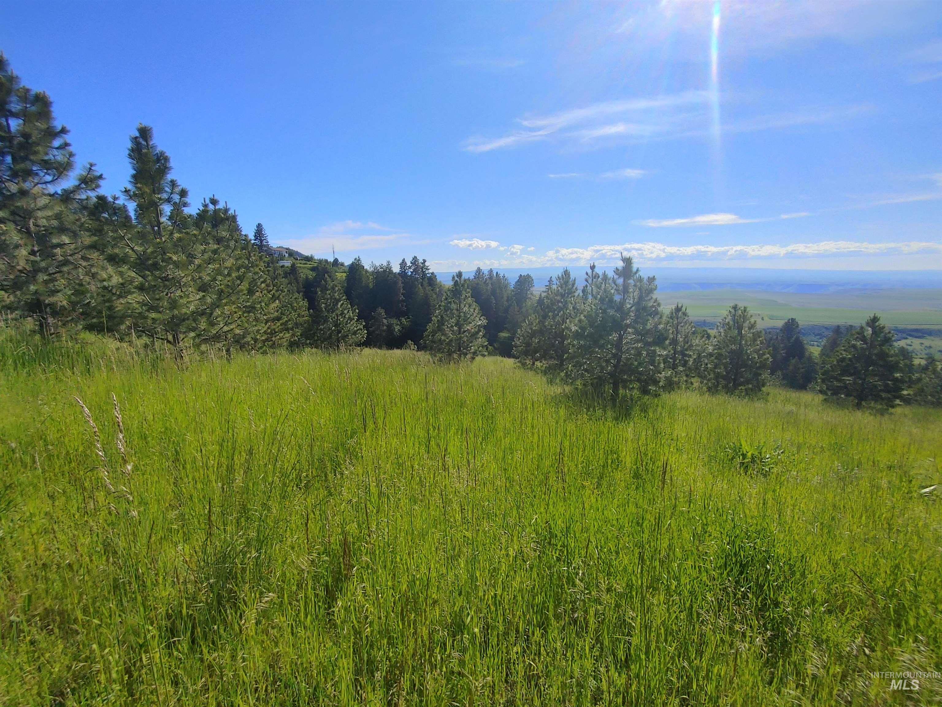 Lot B Forsman Lane Lewiston, ID 83501 - Photo 13 of 46