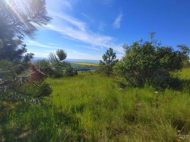 $249,700 | Lot B Forsman Lane, Lewiston, ID 83501