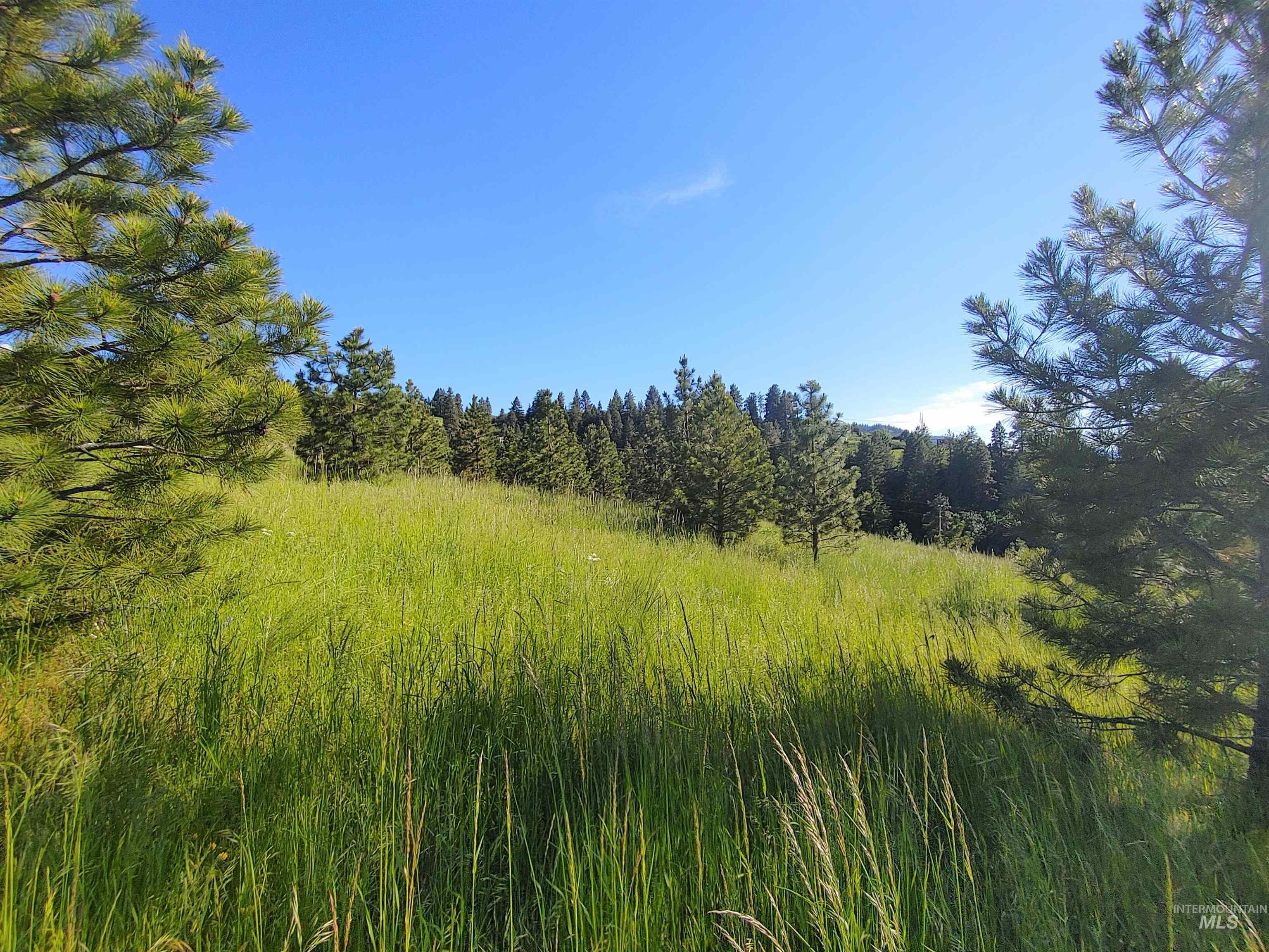 Lot B Forsman Lane Lewiston, ID 83501 - Photo 15 of 46