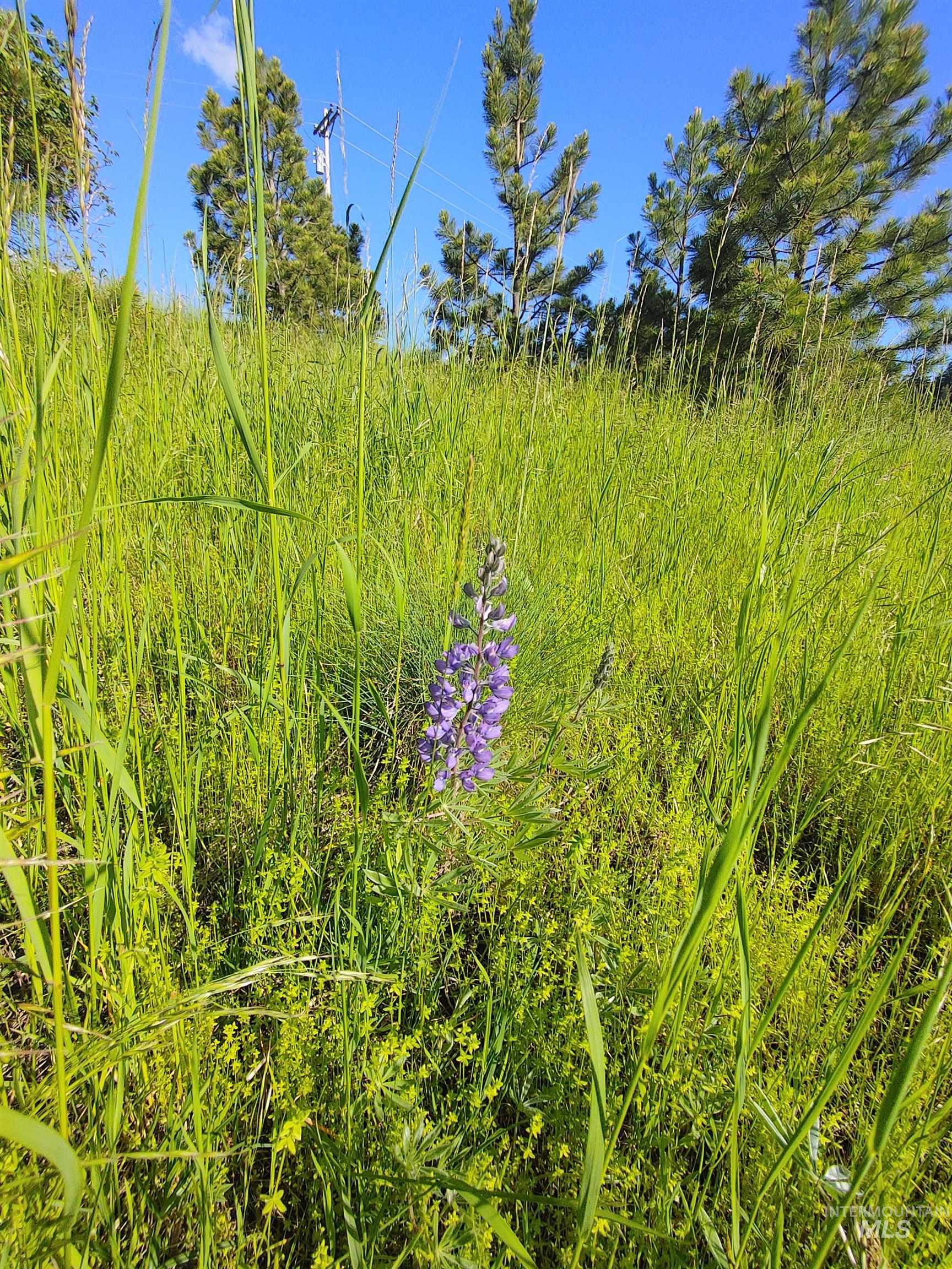 Lot B Forsman Lane Lewiston, ID 83501 - Photo 16 of 46