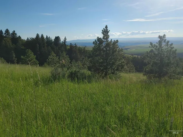 $249,700 | Lot B Forsman Lane, Lewiston, ID 83501