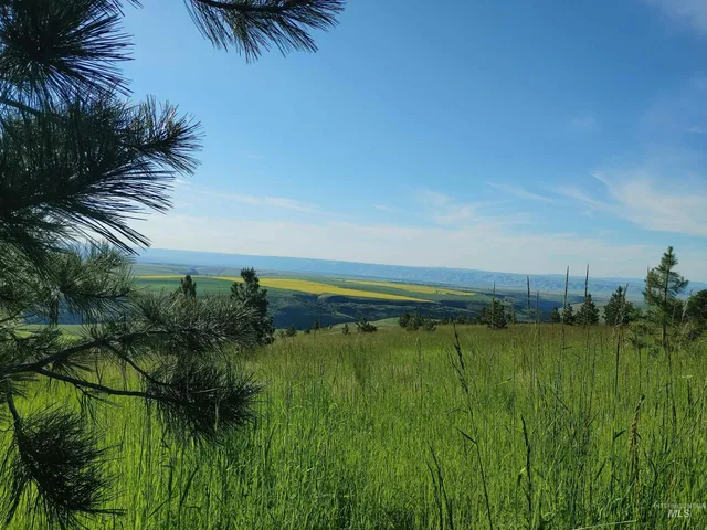 $249,700 | Lot B Forsman Lane, Lewiston, ID 83501