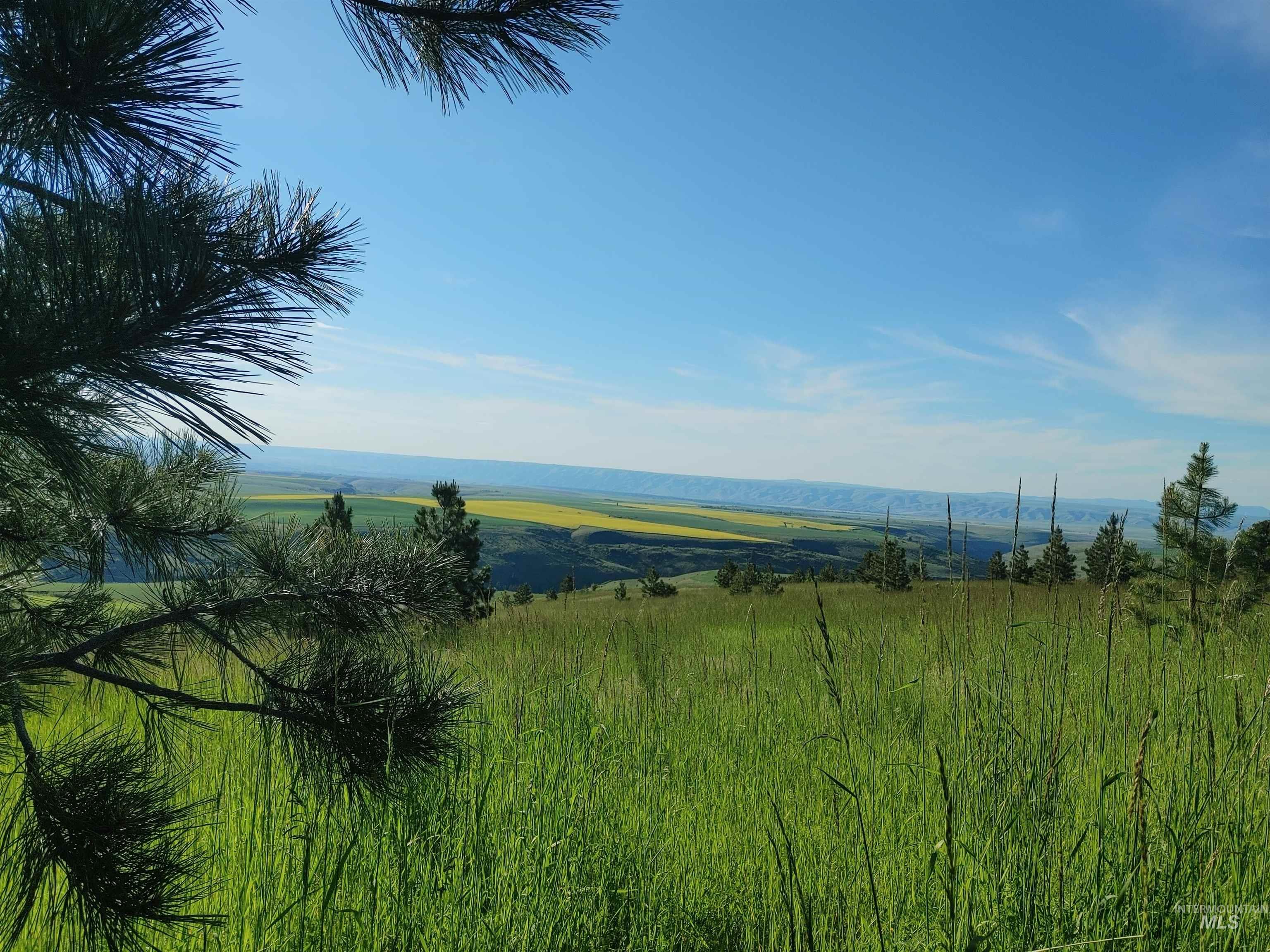 Lot B Forsman Lane Lewiston, ID 83501 - Photo 18 of 46