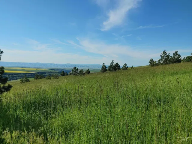 $249,700 | Lot B Forsman Lane, Lewiston, ID 83501