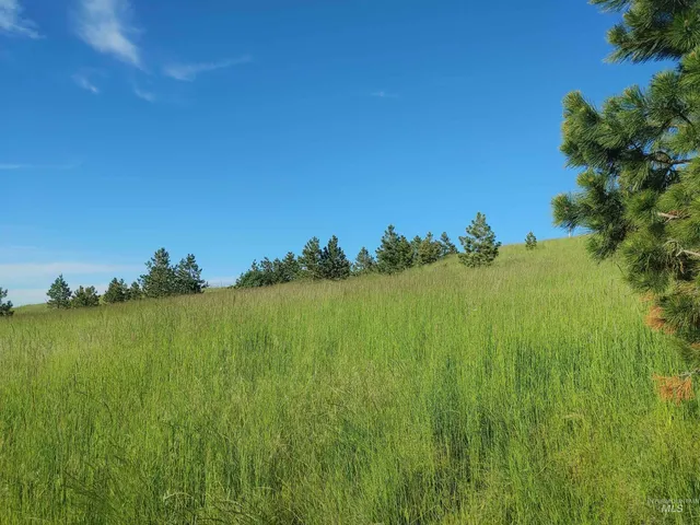$249,700 | Lot B Forsman Lane, Lewiston, ID 83501