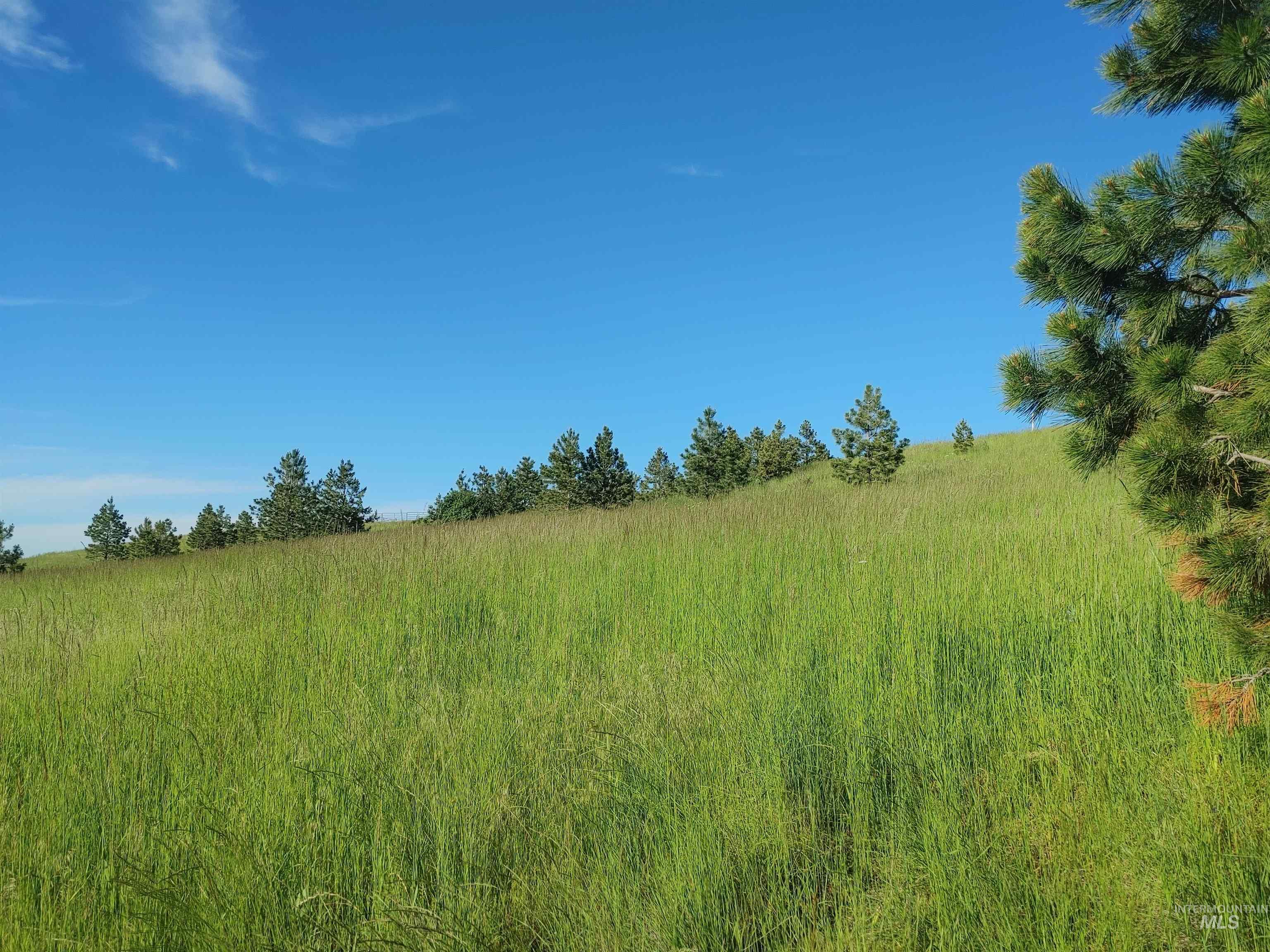 Lot B Forsman Lane Lewiston, ID 83501 - Photo 20 of 46