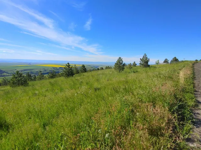 $249,700 | Lot B Forsman Lane, Lewiston, ID 83501