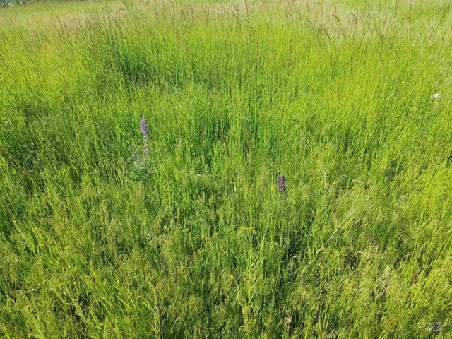 $249,700 | Lot B Forsman Lane, Lewiston, ID 83501