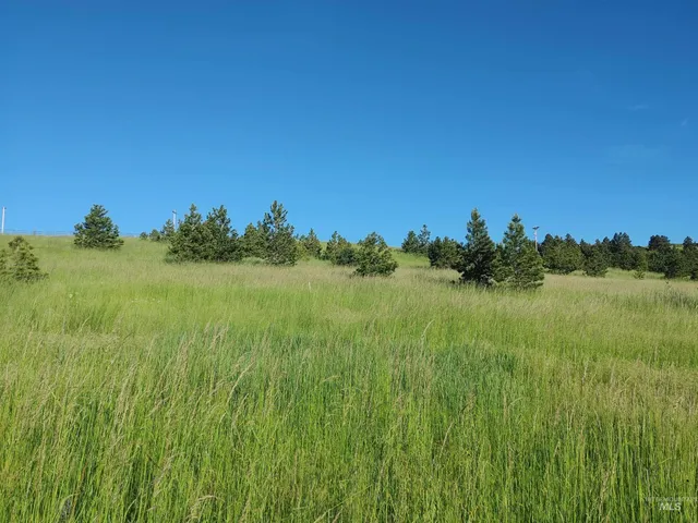 $249,700 | Lot B Forsman Lane, Lewiston, ID 83501