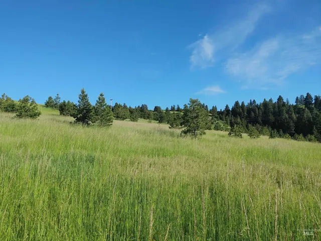 $249,700 | Lot B Forsman Lane, Lewiston, ID 83501