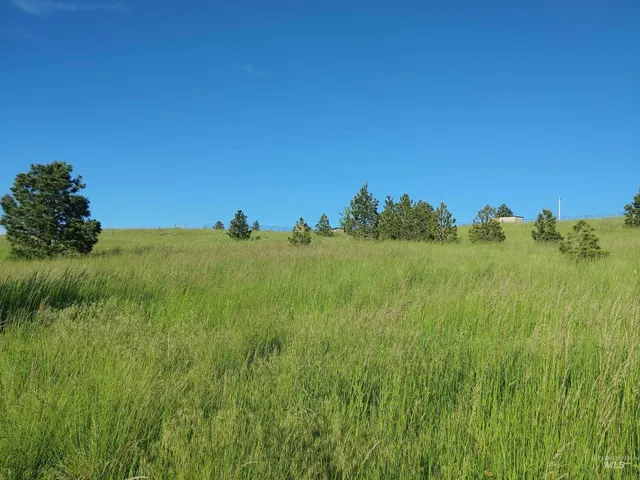 $249,700 | Lot B Forsman Lane, Lewiston, ID 83501