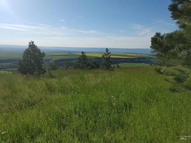 $249,700 | Lot B Forsman Lane, Lewiston, ID 83501