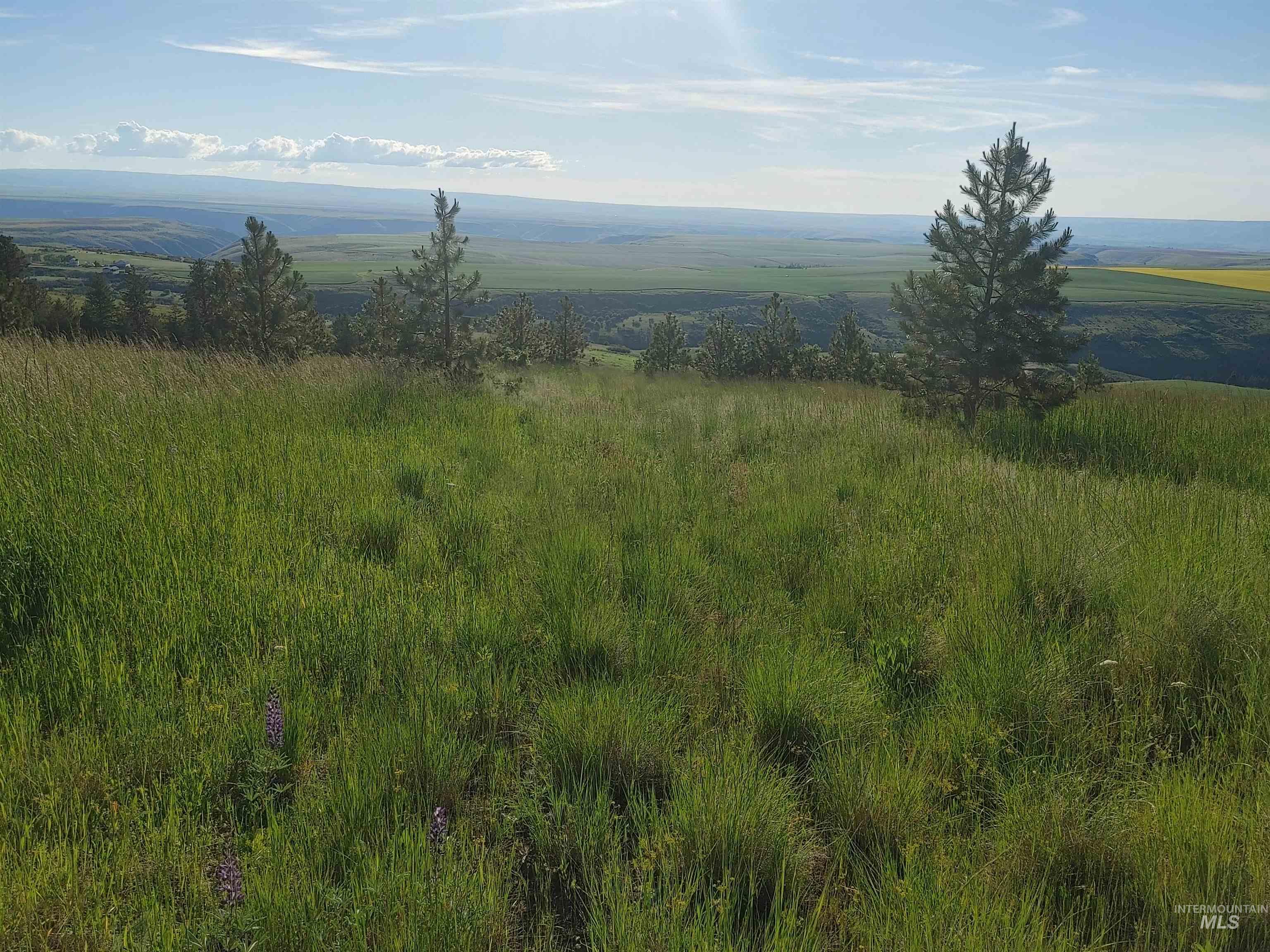 Lot B Forsman Lane Lewiston, ID 83501 - Photo 30 of 46