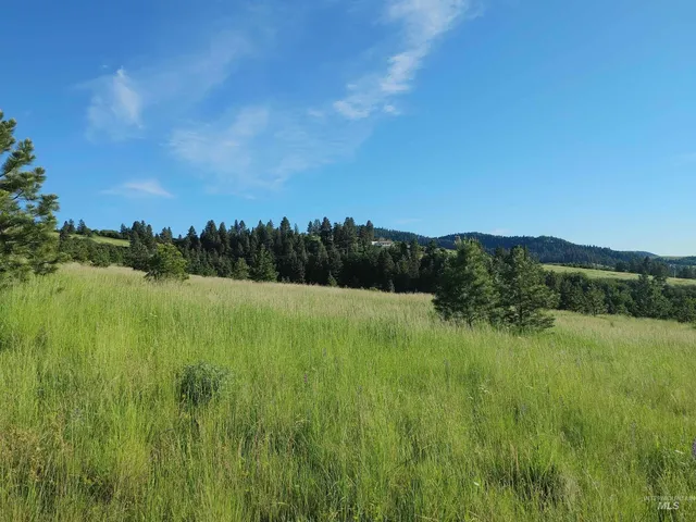 $249,700 | Lot B Forsman Lane, Lewiston, ID 83501