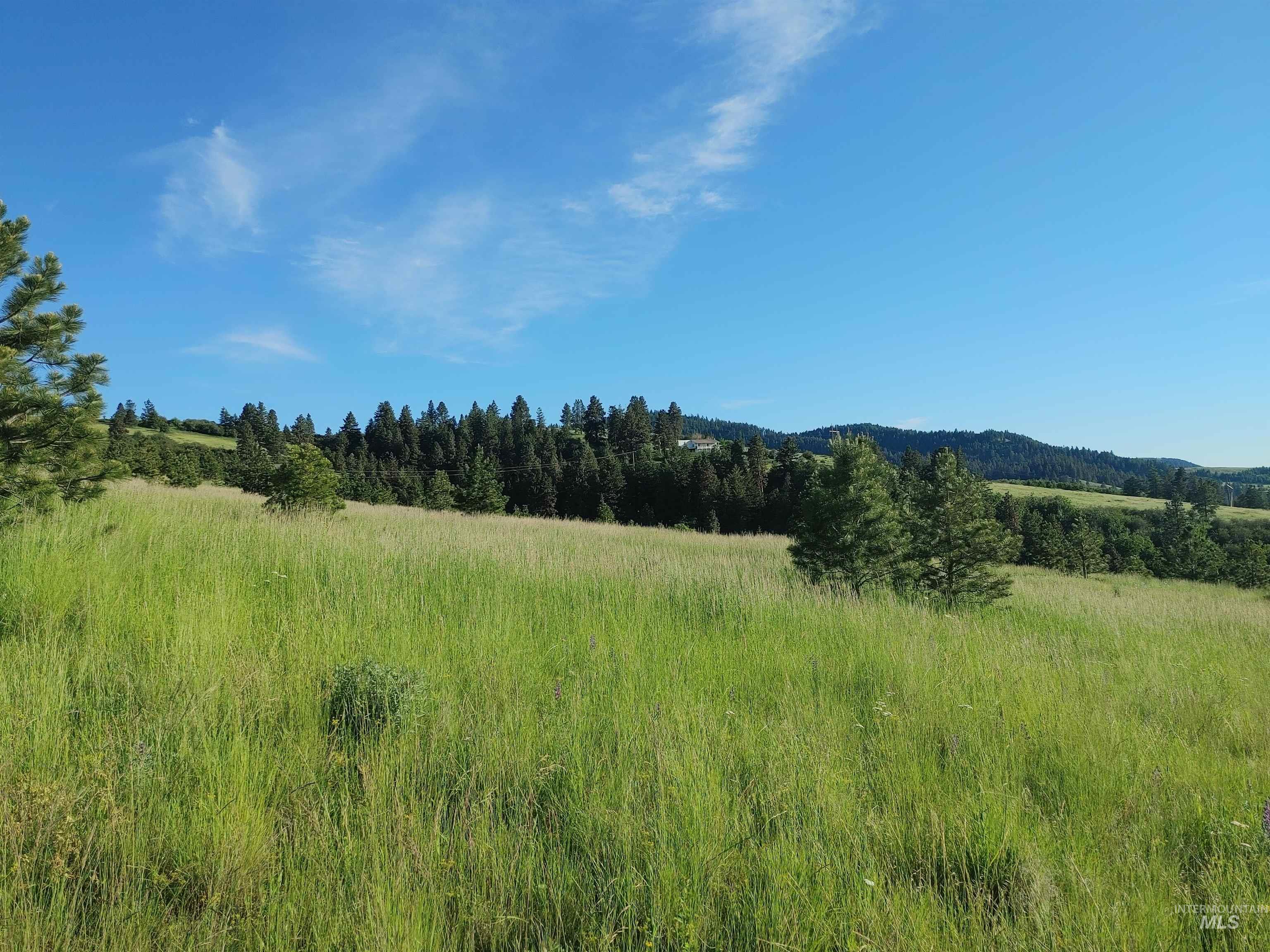 Lot B Forsman Lane Lewiston, ID 83501 - Photo 34 of 46