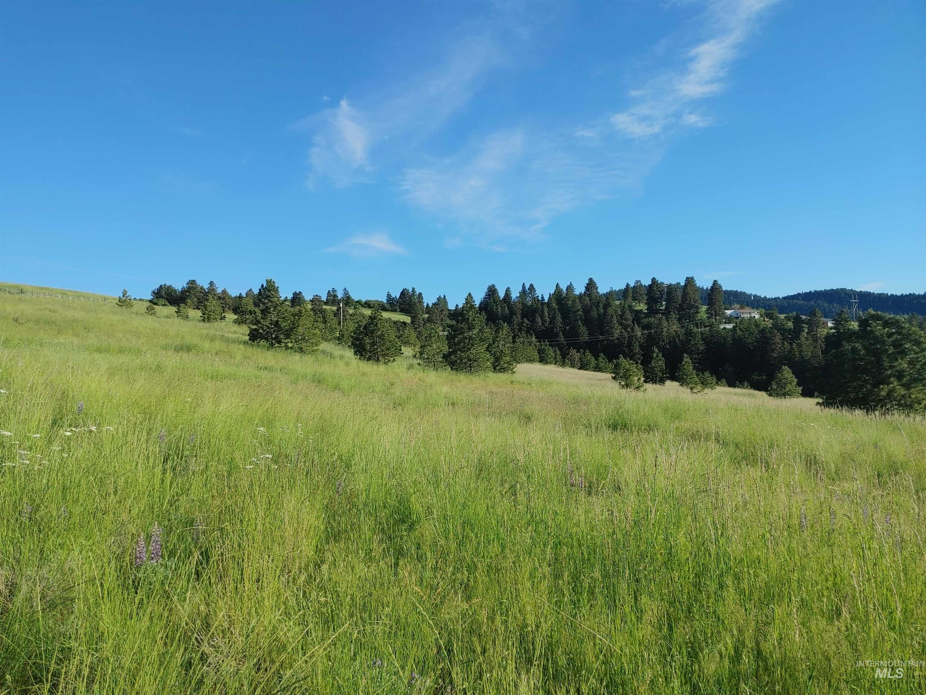 Lot B Forsman Lane Lewiston, ID 83501 - Photo 35 of 46