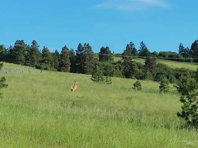 $249,700 | Lot B Forsman Lane, Lewiston, ID 83501