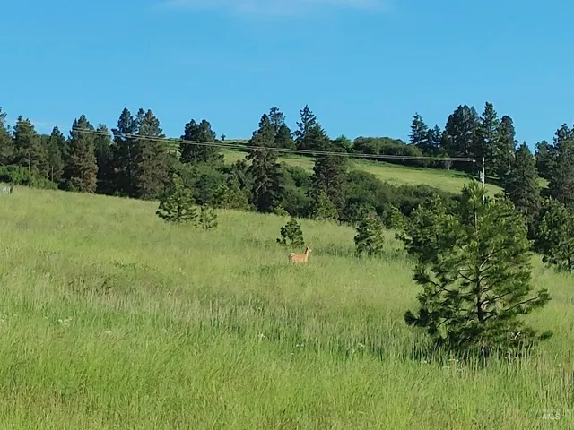 $249,700 | Lot B Forsman Lane, Lewiston, ID 83501