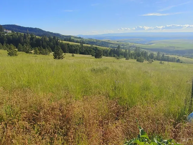 $249,700 | Lot B Forsman Lane, Lewiston, ID 83501