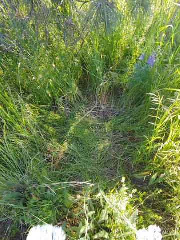 $249,700 | Lot B Forsman Lane, Lewiston, ID 83501