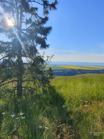 $249,700 | Lot B Forsman Lane, Lewiston, ID 83501